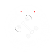 sas-steering-alignment-services-logo