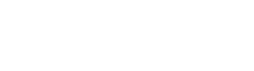 bluauto-logo