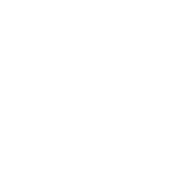 brunel-motor-services--logo