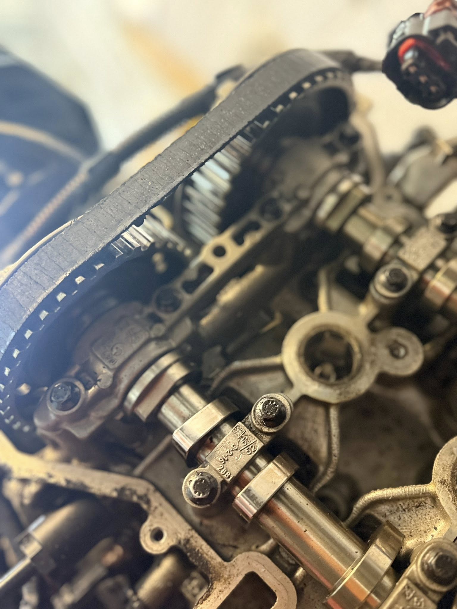 573849103_24723849547296111_1574523188257060859_n