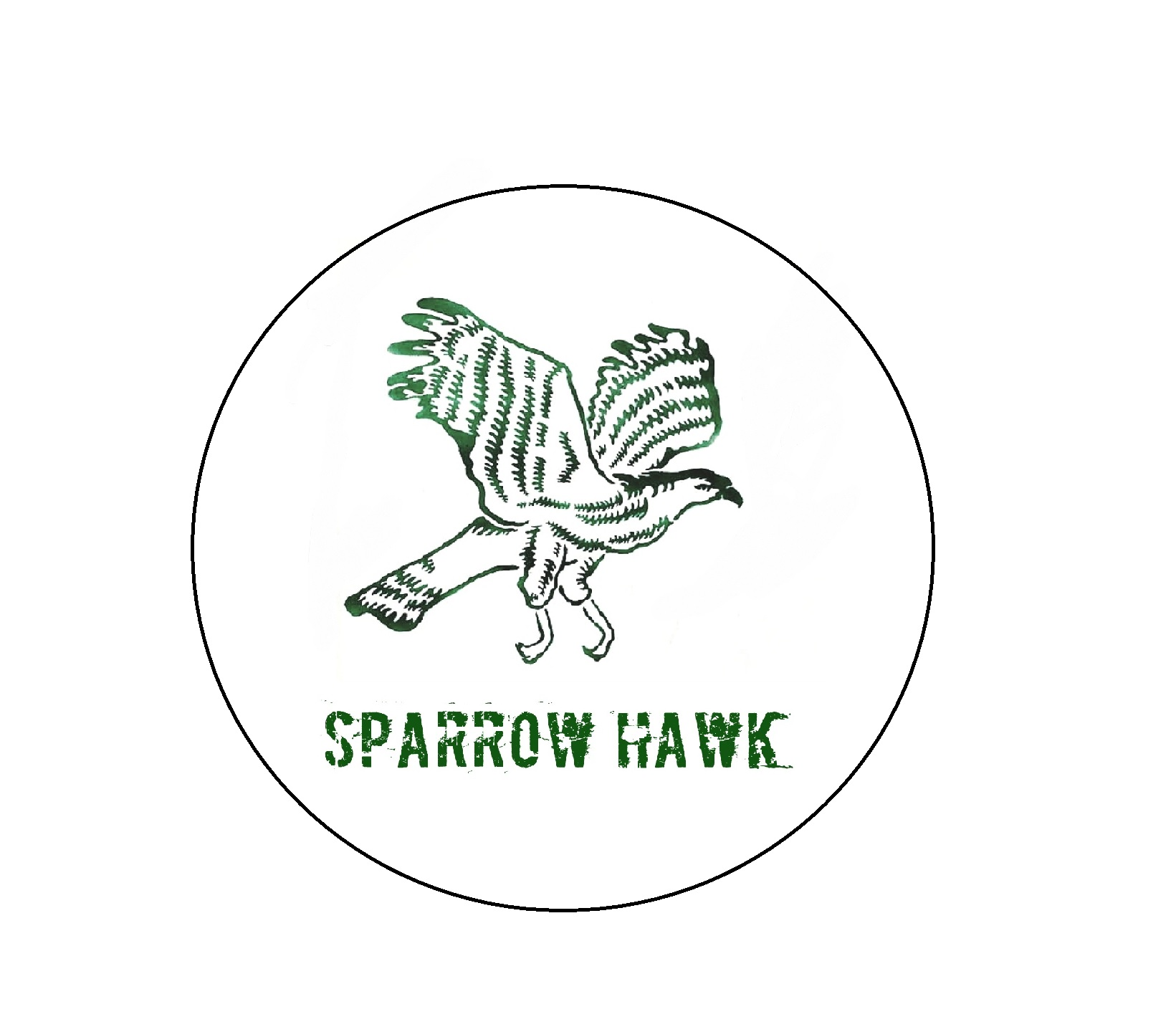 sparrowhawk-motors-iv-logo