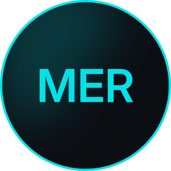 merlin-auto-services-logo
