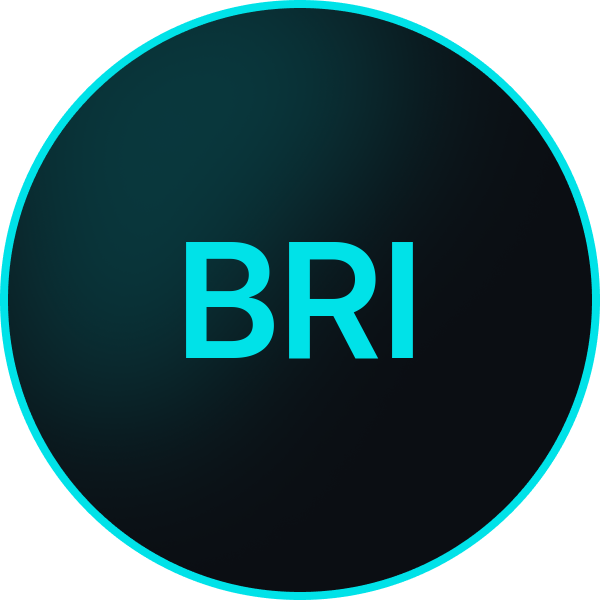 bridge-motors-logo