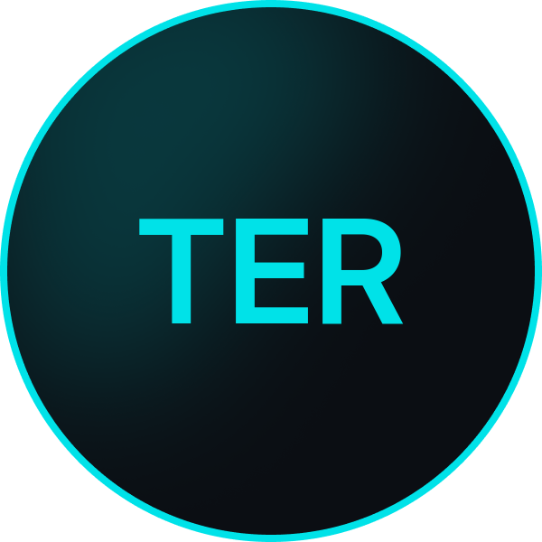 terry-dye-vehicle-services--logo