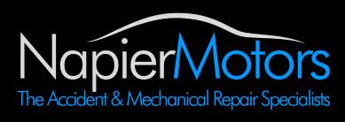 napier-motors--logo